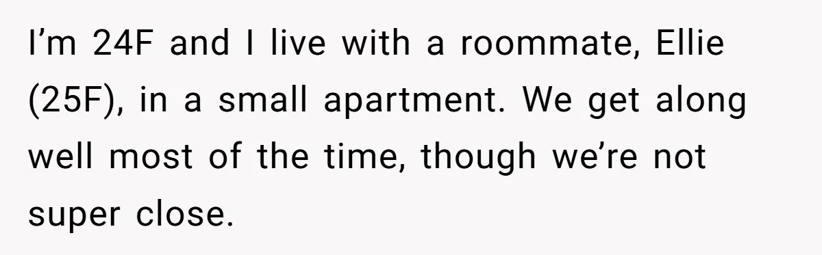 I’m 24F and I live with a roommate, Ellie (25F), in a small apartment. We get along well most of the time, though we’re not super close.