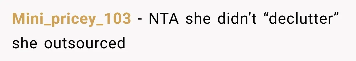 Mini_pricey_103 − NTA she didn’t “declutter” she outsourced