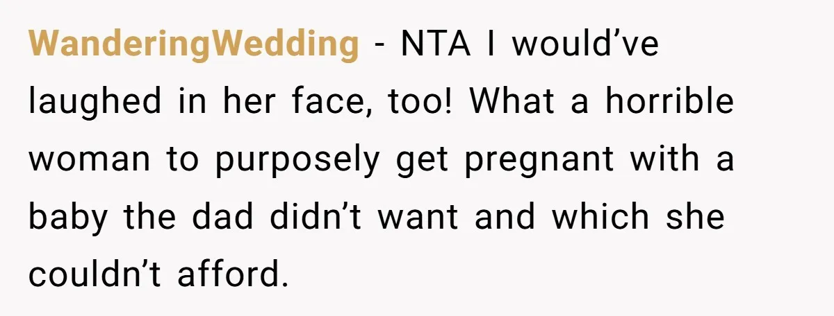 WanderingWedding − NTA I would’ve laughed in her face, too! What a horrible woman to purposely get pregnant with a baby the dad didn’t want and which she couldn’t afford.