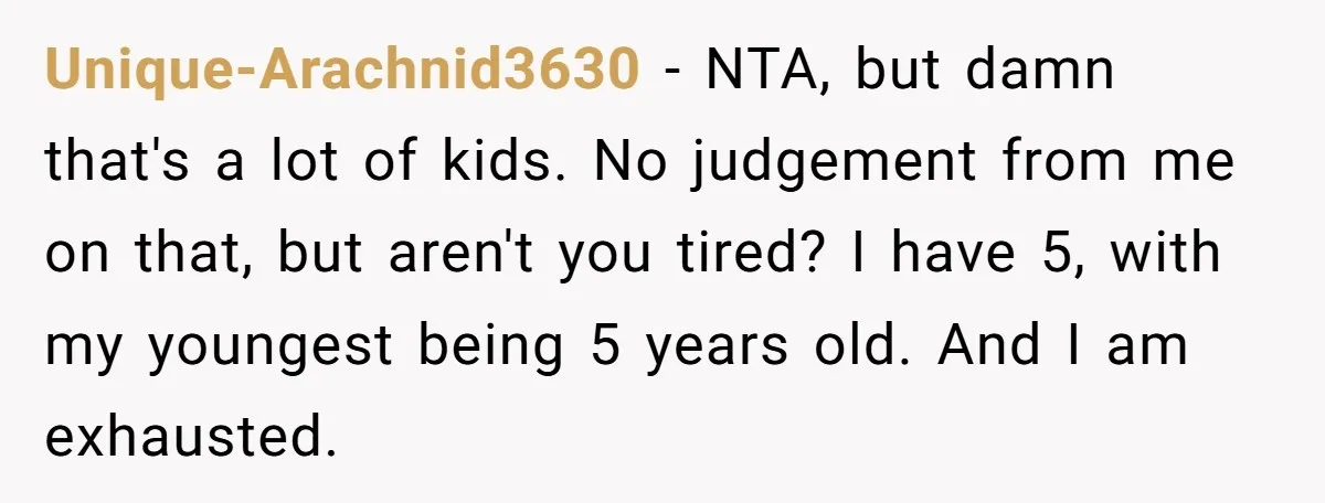 Unique-Arachnid3630 − NTA, but damn that's a lot of kids. No judgement from me on that, but aren't you tired? I have 5, with my youngest being 5 years old....