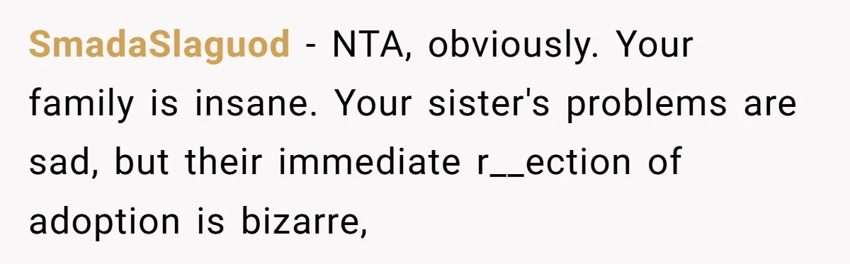 SmadaSlaguod − NTA, obviously. Your family is insane. Your sister's problems are sad, but their immediate r__ection of adoption is bizarre,