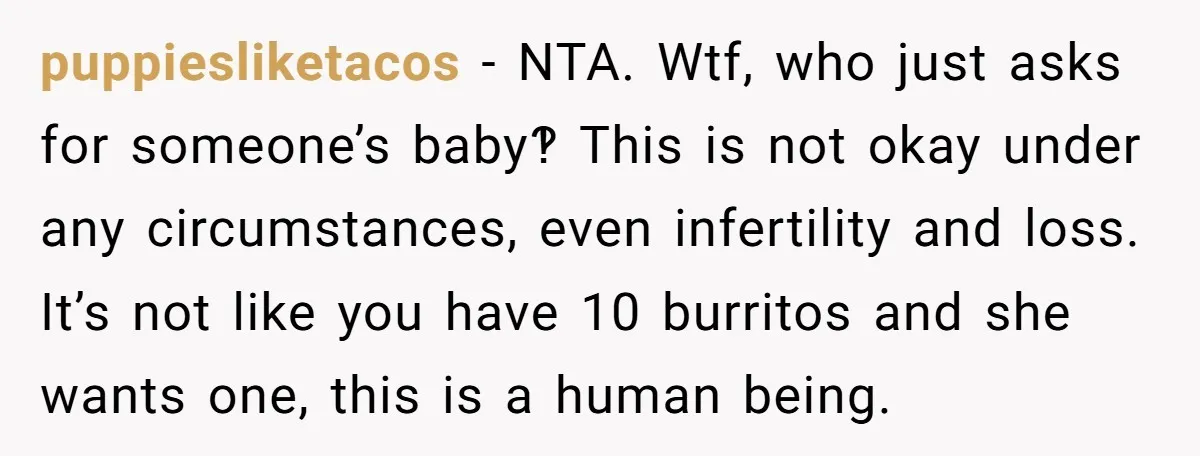 puppiesliketacos − NTA. Wtf, who just asks for someone’s baby‽ This is not okay under any circumstances, even infertility and loss. It’s not like you have 10 burritos and she...