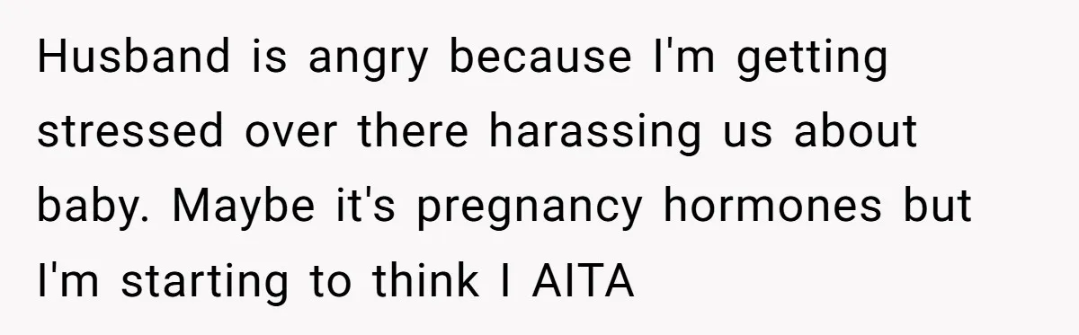 Husband is angry because I'm getting stressed over there harassing us about baby. Maybe it's pregnancy hormones but I'm starting to think I AITA