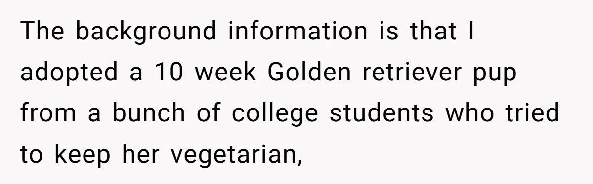 The background information is that I adopted a 10 week Golden retriever pup from a bunch of college students who tried to keep her vegetarian,
