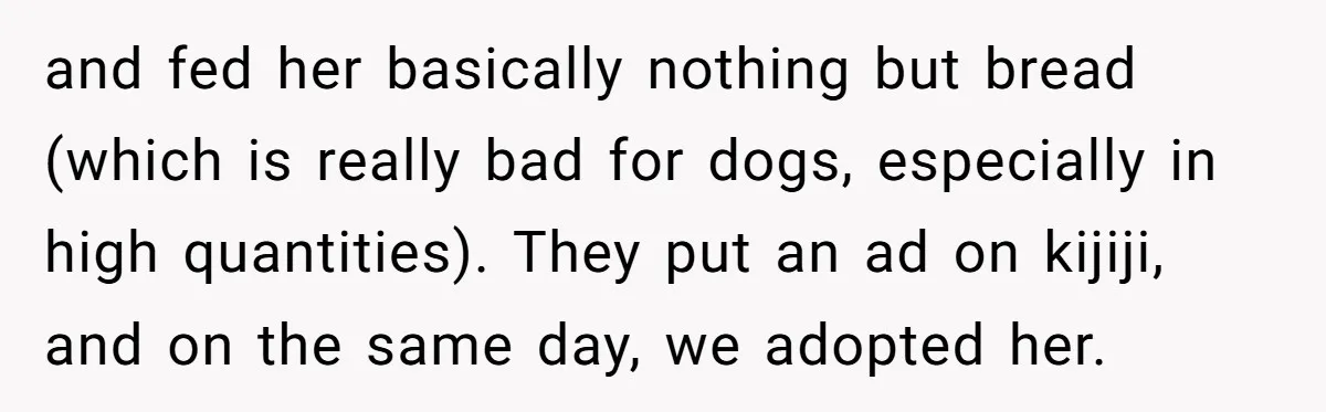 and fed her basically nothing but bread (which is really bad for dogs, especially in high quantities). They put an ad on kijiji, and on the same day, we adopted...