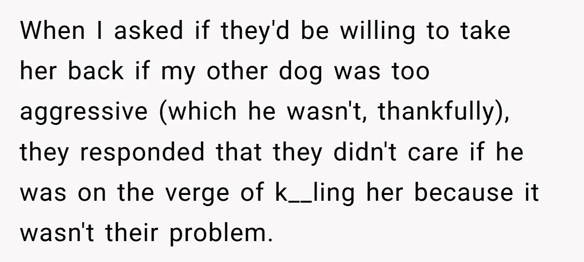 When I asked if they'd be willing to take her back if my other dog was too aggressive (which he wasn't, thankfully), they responded that they didn't care if he...
