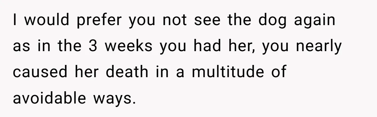 I would prefer you not see the dog again as in the 3 weeks you had her, you nearly caused her death in a multitude of avoidable ways.