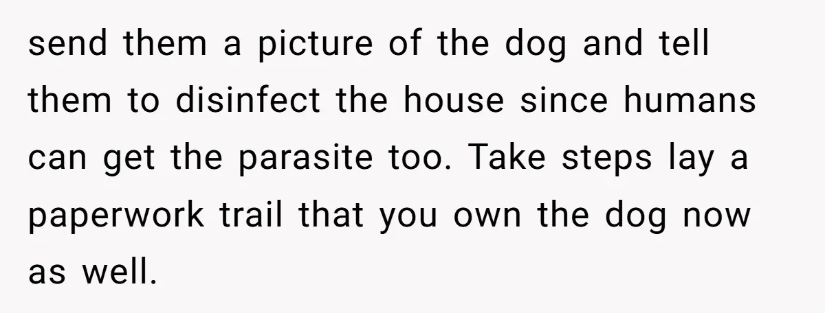 send them a picture of the dog and tell them to disinfect the house since humans can get the parasite too. Take steps lay a paperwork trail that you own...
