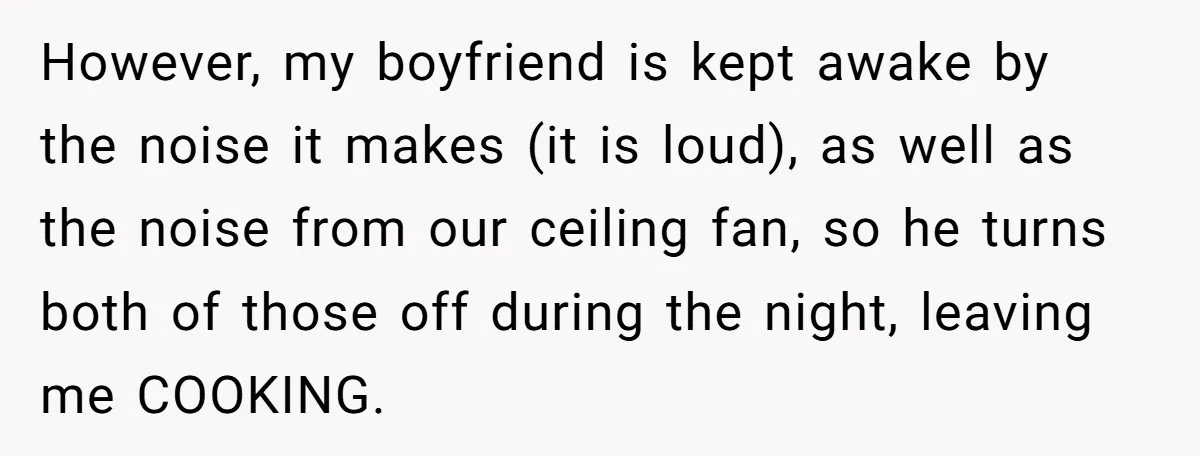 However, my boyfriend is kept awake by the noise it makes (it is loud), as well as the noise from our ceiling fan, so he turns both of those off...