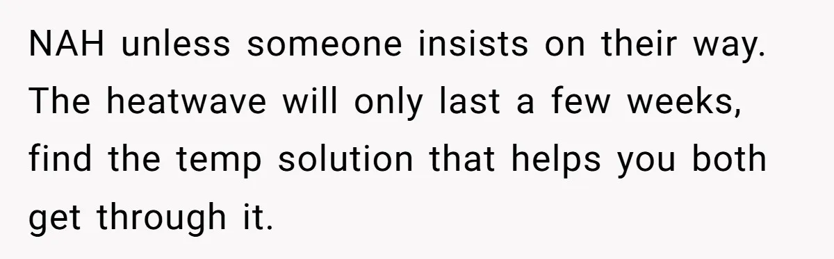 NAH unless someone insists on their way. The heatwave will only last a few weeks, find the temp solution that helps you both get through it.