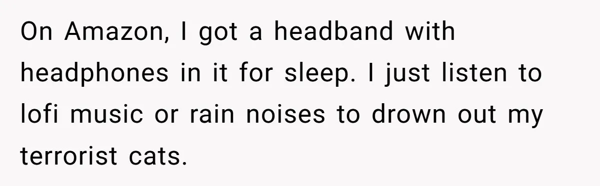 On Amazon, I got a headband with headphones in it for sleep. I just listen to lofi music or rain noises to drown out my terrorist cats.