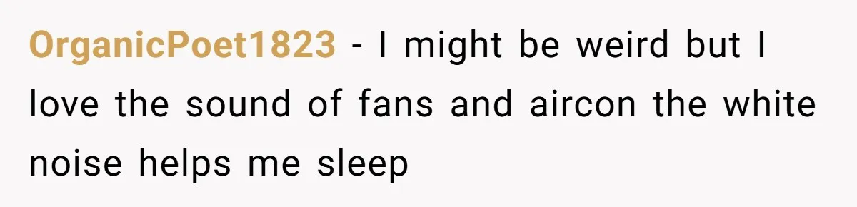 OrganicPoet1823 − I might be weird but I love the sound of fans and aircon the white noise helps me sleep