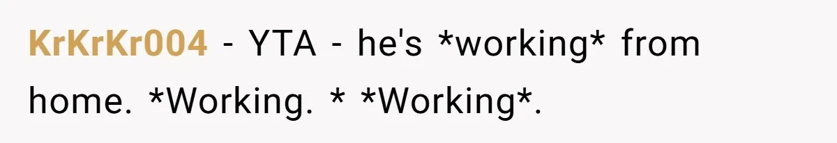 KrKrKr004 − YTA - he's *working* from home. *Working. * *Working*.