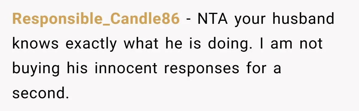 Responsible_Candle86 − NTA your husband knows exactly what he is doing. I am not buying his innocent responses for a second.