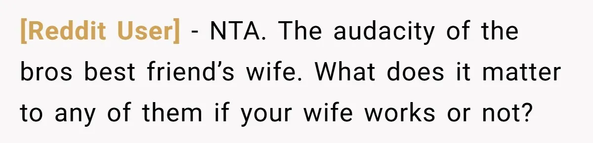 [Reddit User] − NTA. The audacity of the bros best friend’s wife. What does it matter to any of them if your wife works or not?