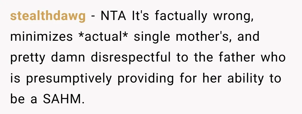 stealthdawg − NTA It's factually wrong, minimizes *actual* single mother's, and pretty damn disrespectful to the father who is presumptively providing for her ability to be a SAHM.