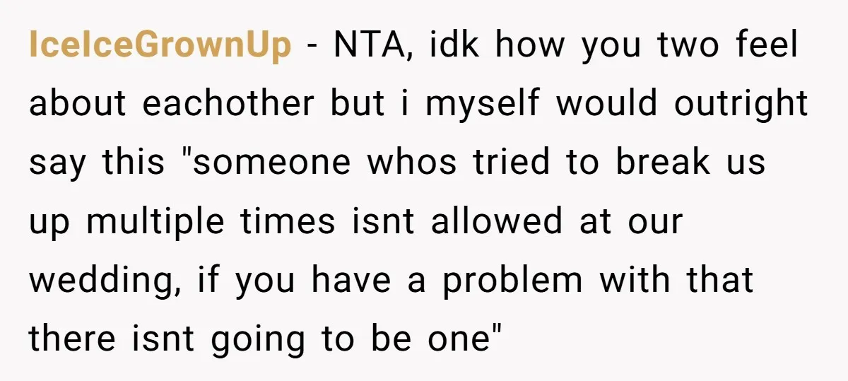 IceIceGrownUp − NTA, idk how you two feel about eachother but i myself would outright say this "someone whos tried to break us up multiple times isnt allowed at our...