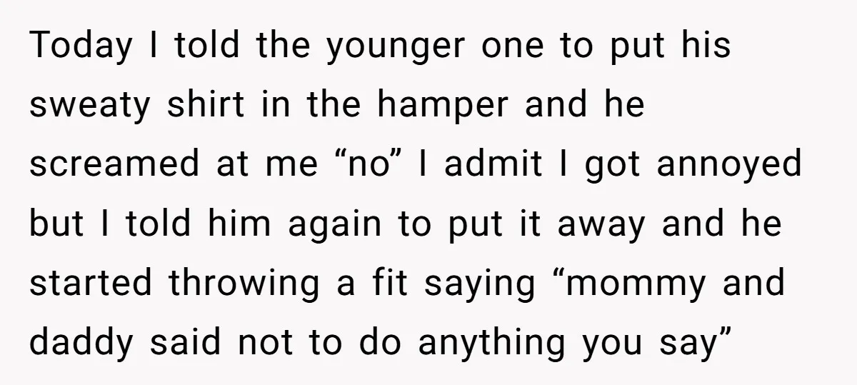 Today I told the younger one to put his sweaty shirt in the hamper and he screamed at me “no” I admit I got annoyed but I told him again...