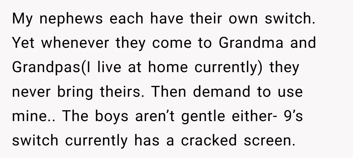 My nephews each have their own switch. Yet whenever they come to Grandma and Grandpas(I live at home currently) they never bring theirs. Then demand to use mine.. The boys...