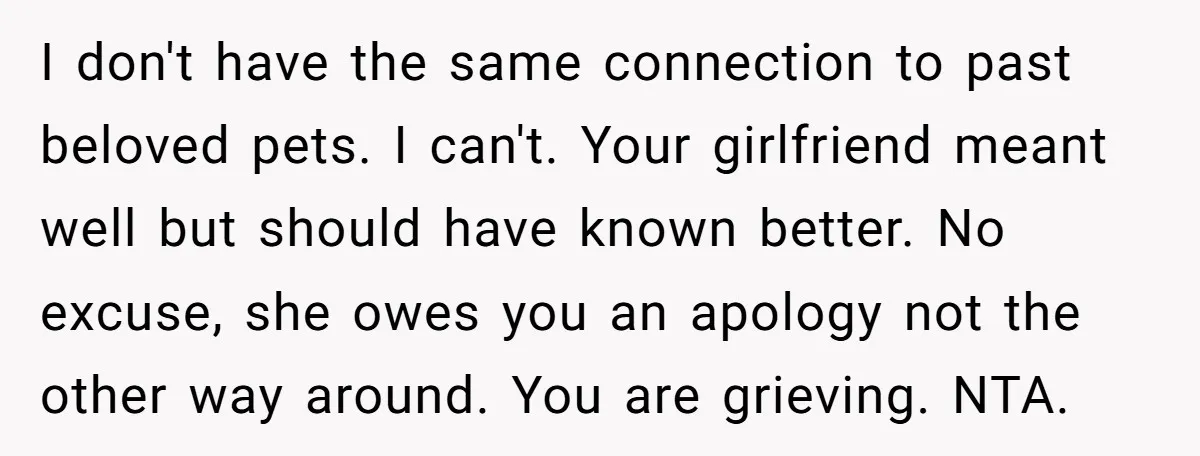 I don't have the same connection to past beloved pets. I can't. Your girlfriend meant well but should have known better. No excuse, she owes you an apology not the...
