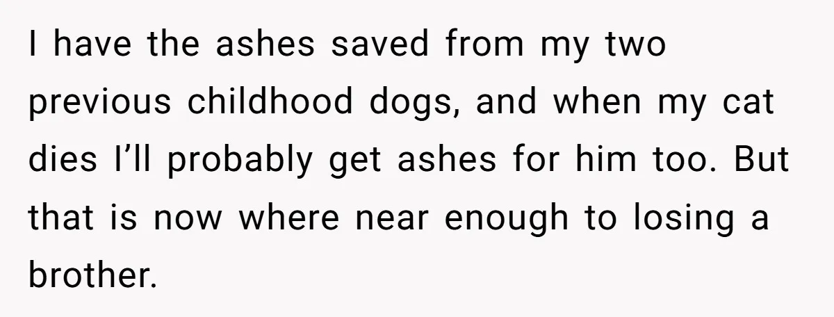 I have the ashes saved from my two previous childhood dogs, and when my cat dies I’ll probably get ashes for him too. But that is now where near enough...