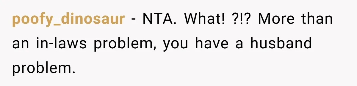 poofy_dinosaur − NTA. What! ?!? More than an in-laws problem, you have a husband problem.