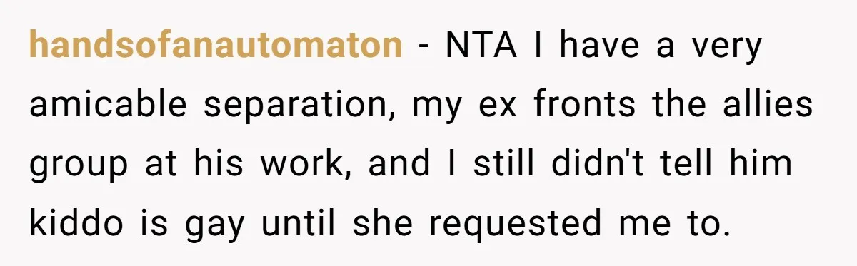 handsofanautomaton − NTA I have a very amicable separation, my ex fronts the allies group at his work, and I still didn't tell him kiddo is gay until she requested...