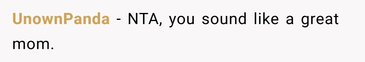 UnownPanda − NTA, you sound like a great mom.