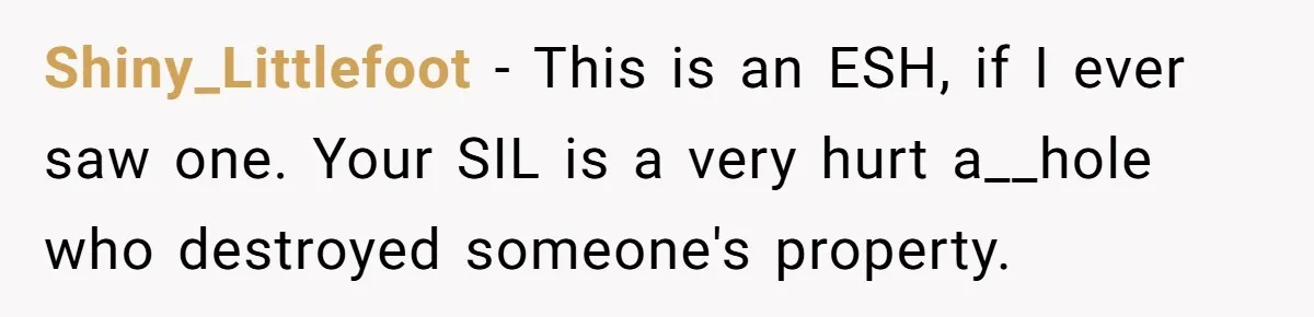 Shiny_Littlefoot − This is an ESH, if I ever saw one. Your SIL is a very hurt a__hole who destroyed someone's property.