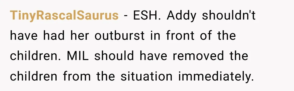 TinyRascalSaurus − ESH. Addy shouldn't have had her outburst in front of the children. MIL should have removed the children from the situation immediately.