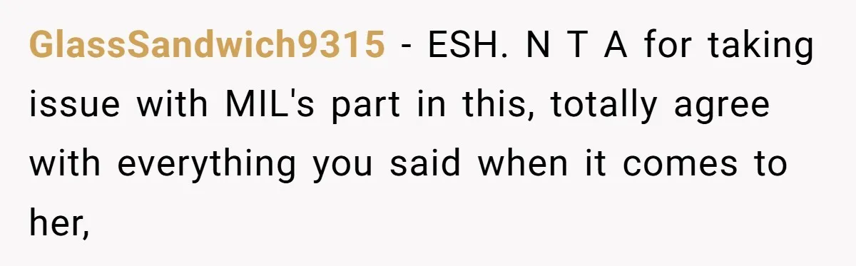 GlassSandwich9315 − ESH. N T A for taking issue with MIL's part in this, totally agree with everything you said when it comes to her,