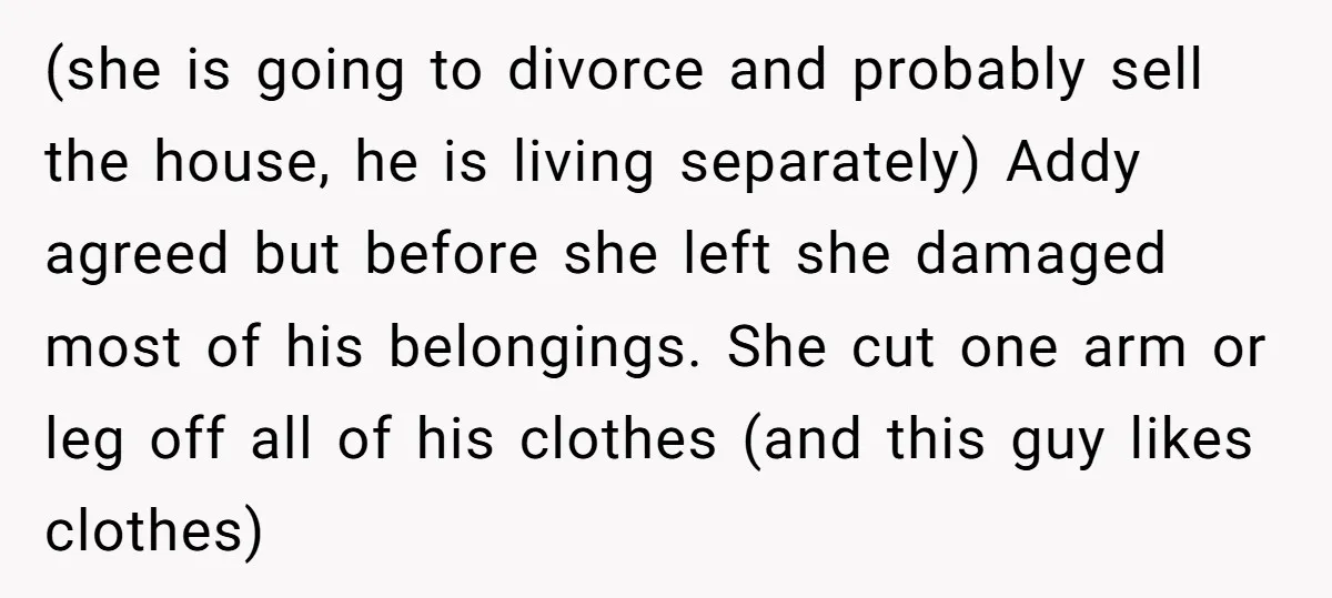 (she is going to divorce and probably sell the house, he is living separately) Addy agreed but before she left she damaged most of his belongings. She cut one arm...