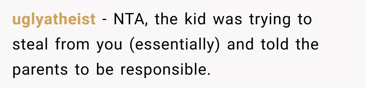 uglyatheist − NTA, the kid was trying to steal from you (essentially) and told the parents to be responsible.