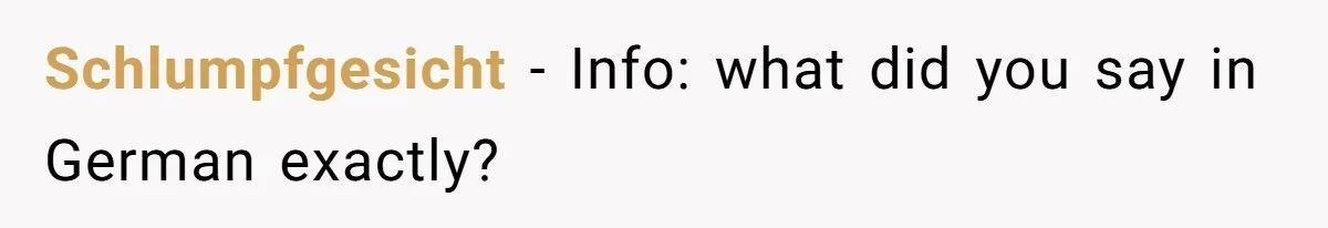 Schlumpfgesicht − Info: what did you say in German exactly?