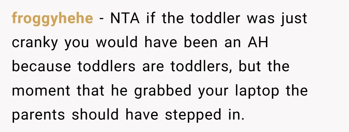 froggyhehe − NTA if the toddler was just cranky you would have been an AH because toddlers are toddlers, but the moment that he grabbed your laptop the parents should...