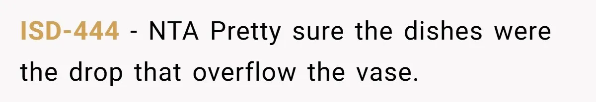 ISD-444 − NTA Pretty sure the dishes were the drop that overflow the vase.