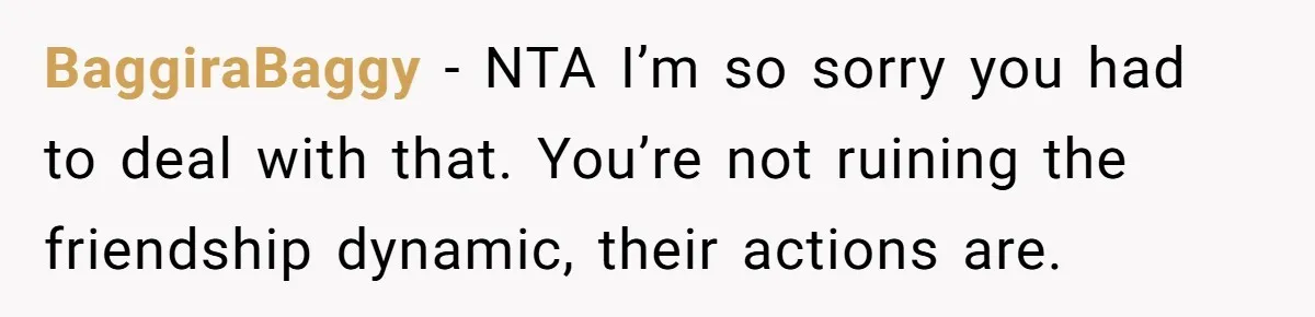 BaggiraBaggy − NTA I’m so sorry you had to deal with that. You’re not ruining the friendship dynamic, their actions are.