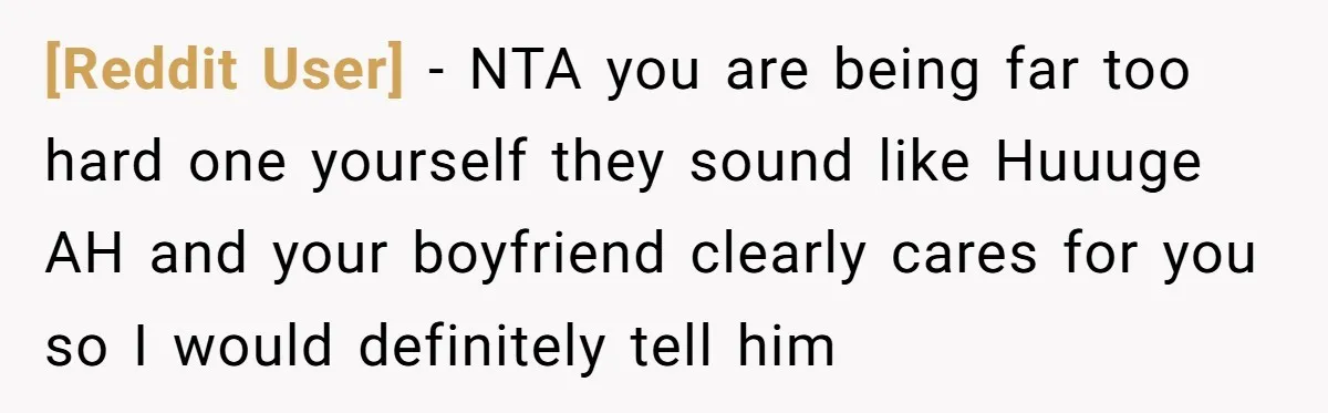 [Reddit User] − NTA you are being far too hard one yourself they sound like Huuuge AH and your boyfriend clearly cares for you so I would definitely tell him