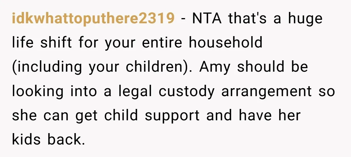 idkwhattoputhere2319 − NTA that's a huge life shift for your entire household (including your children). Amy should be looking into a legal custody arrangement so she can get child support...