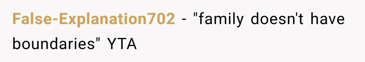 False-Explanation702 − "family doesn't have boundaries" YTA