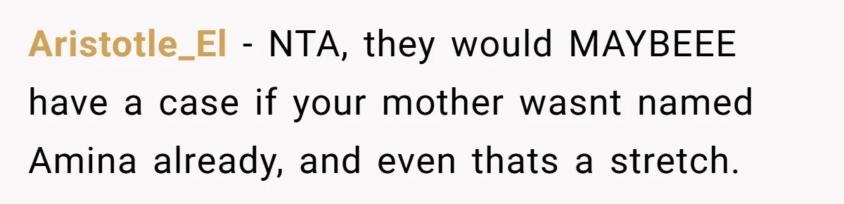 Aristotle_El − NTA, they would MAYBEEE have a case if your mother wasnt named Amina already, and even thats a stretch.