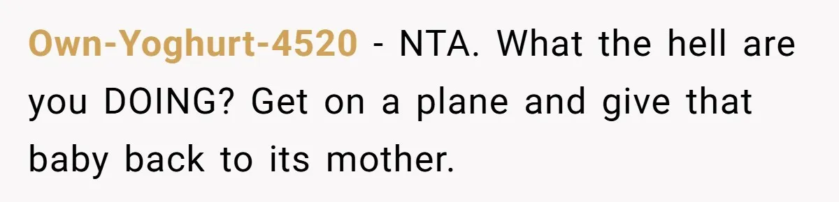 Own-Yoghurt-4520 − NTA. What the hell are you DOING? Get on a plane and give that baby back to its mother.