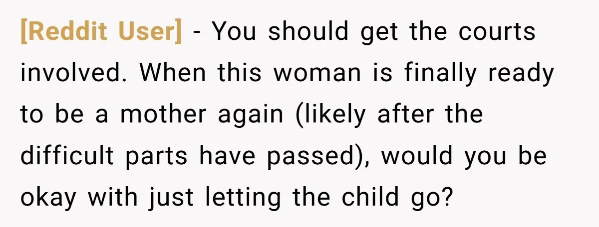 [Reddit User] − You should get the courts involved. When this woman is finally ready to be a mother again (likely after the difficult parts have passed), would you be...