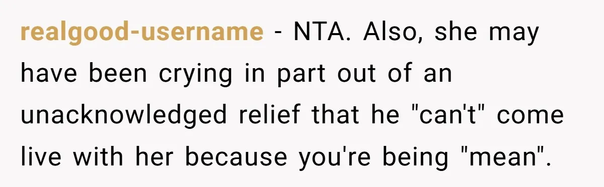 realgood-username − NTA. Also, she may have been crying in part out of an unacknowledged relief that he "can't" come live with her because you're being "mean".