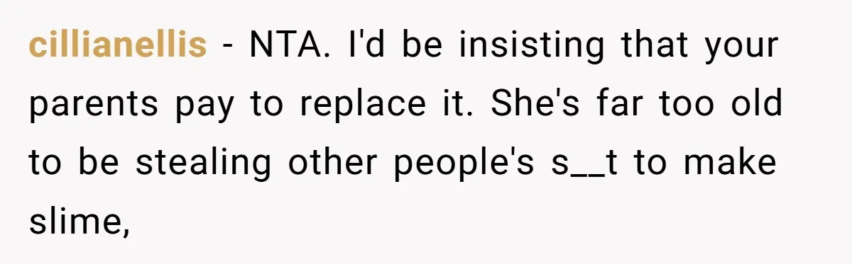 cillianellis − NTA. I'd be insisting that your parents pay to replace it. She's far too old to be stealing other people's s__t to make slime,