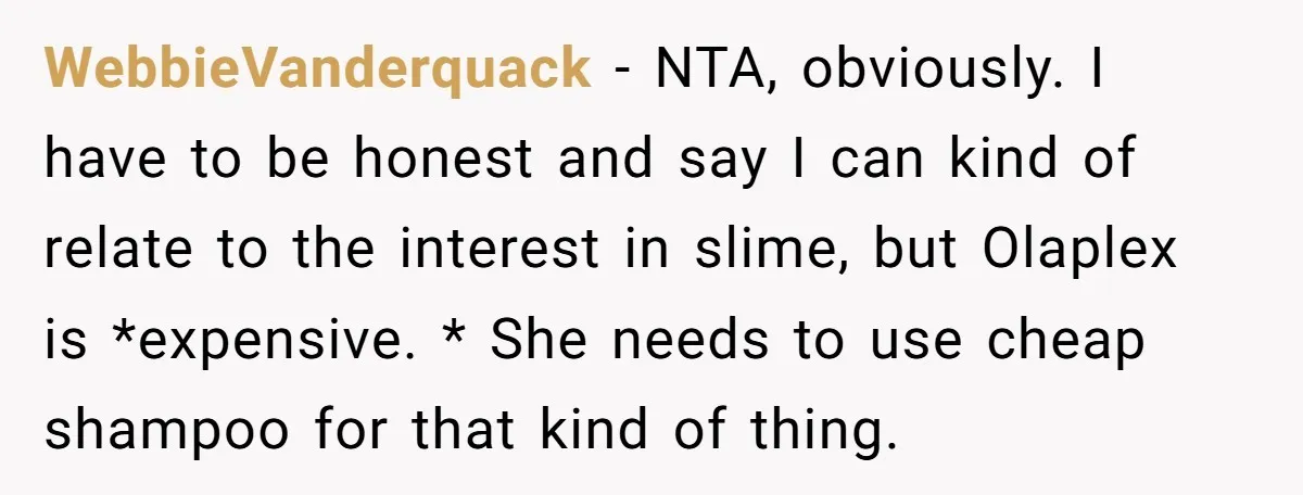 WebbieVanderquack − NTA, obviously. I have to be honest and say I can kind of relate to the interest in slime, but Olaplex is *expensive. * She needs to use...