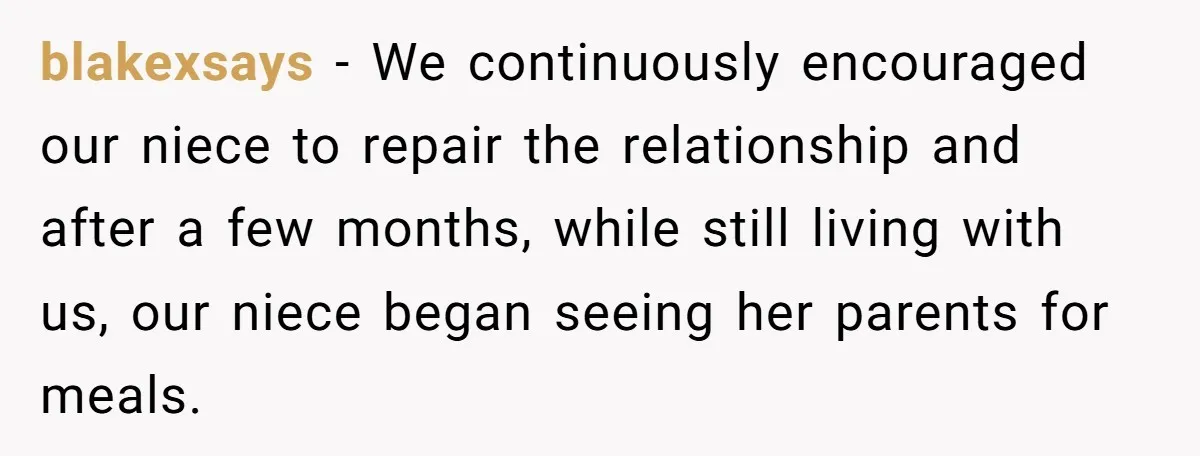 blakexsays − We continuously encouraged our niece to repair the relationship and after a few months, while still living with us, our niece began seeing her parents for meals.