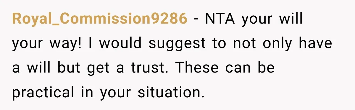 Royal_Commission9286 − NTA your will your way! I would suggest to not only have a will but get a trust. These can be practical in your situation.