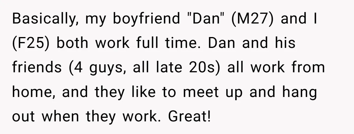 Basically, my boyfriend "Dan" (M27) and I (F25) both work full time. Dan and his friends (4 guys, all late 20s) all work from home, and they like to meet...