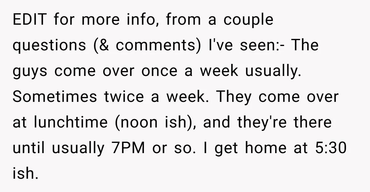 EDIT for more info, from a couple questions (& comments) I've seen:- The guys come over once a week usually. Sometimes twice a week. They come over at lunchtime (noon...